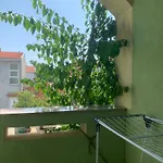 Cherti 扎达尔